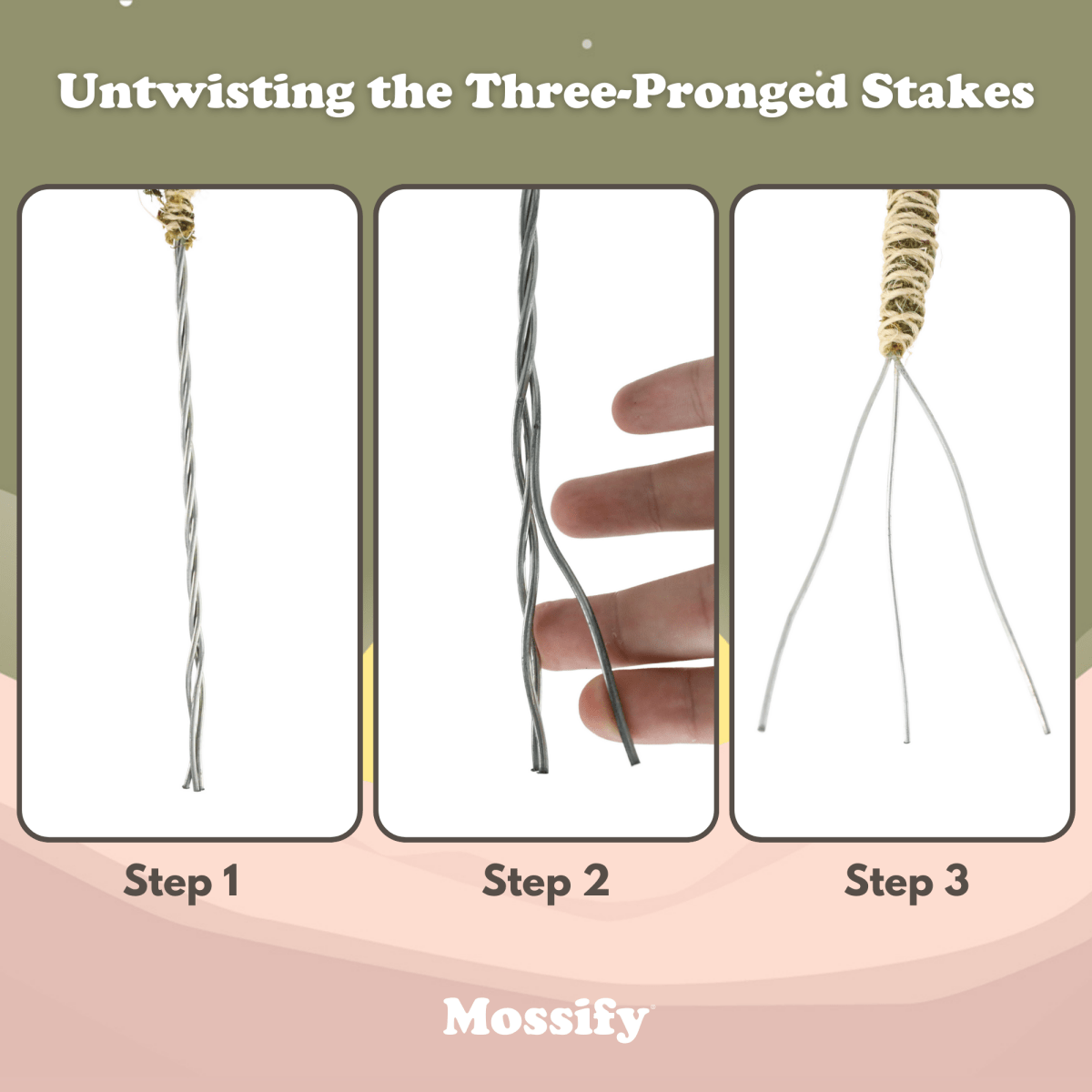 3 Pack Bendable Moss Pole™ THIN – Flexible Plant Support for Smaller Pots & Delicate Climbers - Ed's Plant Shop