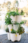 3 Tier GreenStalk Garden Original Vertical Planter - Basic Texture - Ed's Plant Shop