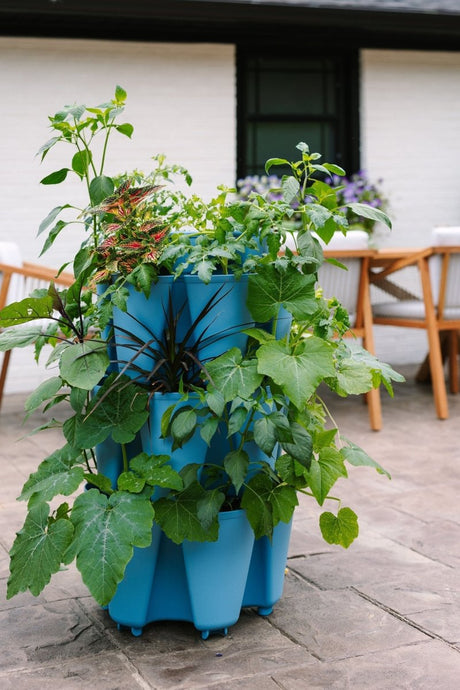 3 Tier GreenStalk Garden Original Vertical Planter - Basic Texture - Ed's Plant Shop