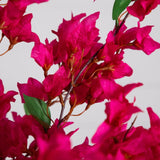 31” Artificial Pink Bougainvillea Arrangement in Vase | Elegant Floral Décor - Ed's Plant Shop