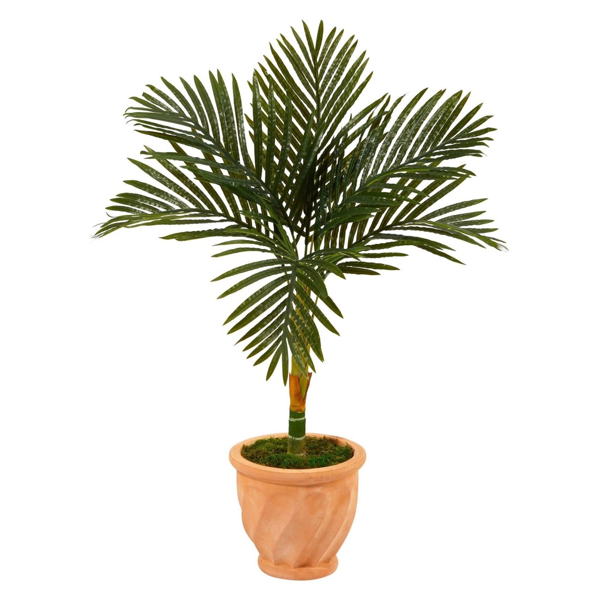 3.5' Golden Cane Artificial Palm Tree – Ed's Plant Shop - Ed's Plant Shop