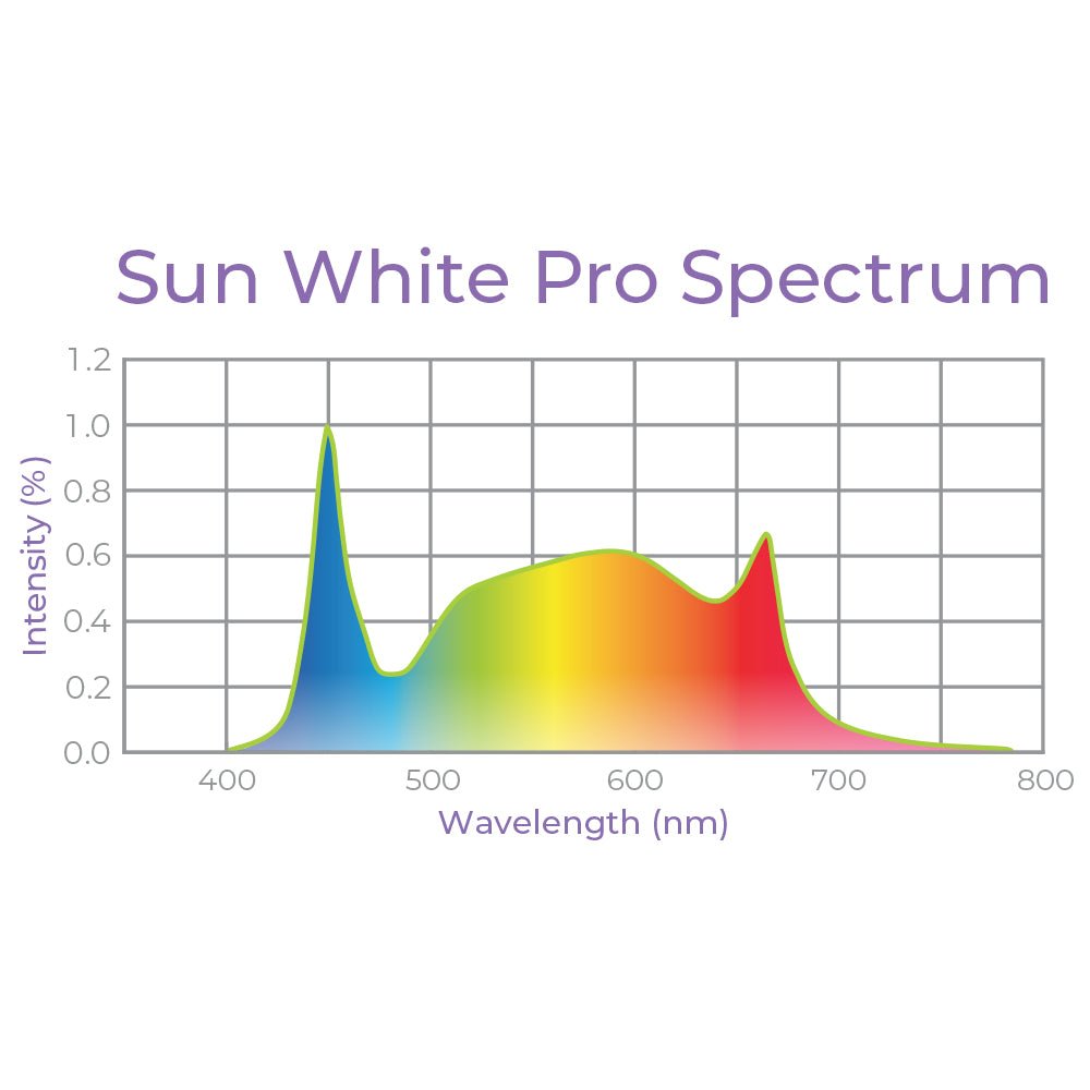 4' 8 Lamp LED Grow Light - T5 HO Sun White Pro Spectrum - Ed's Plant Shop