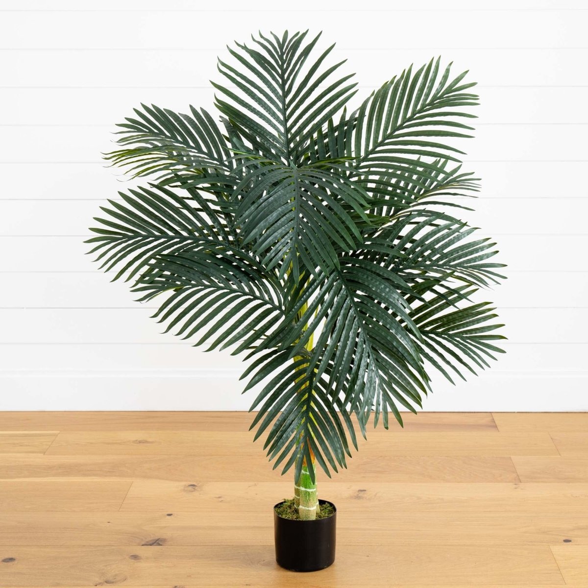 is golden palm an indoor plant Nearly Natural 4-ft Golden Cane Palm Tree