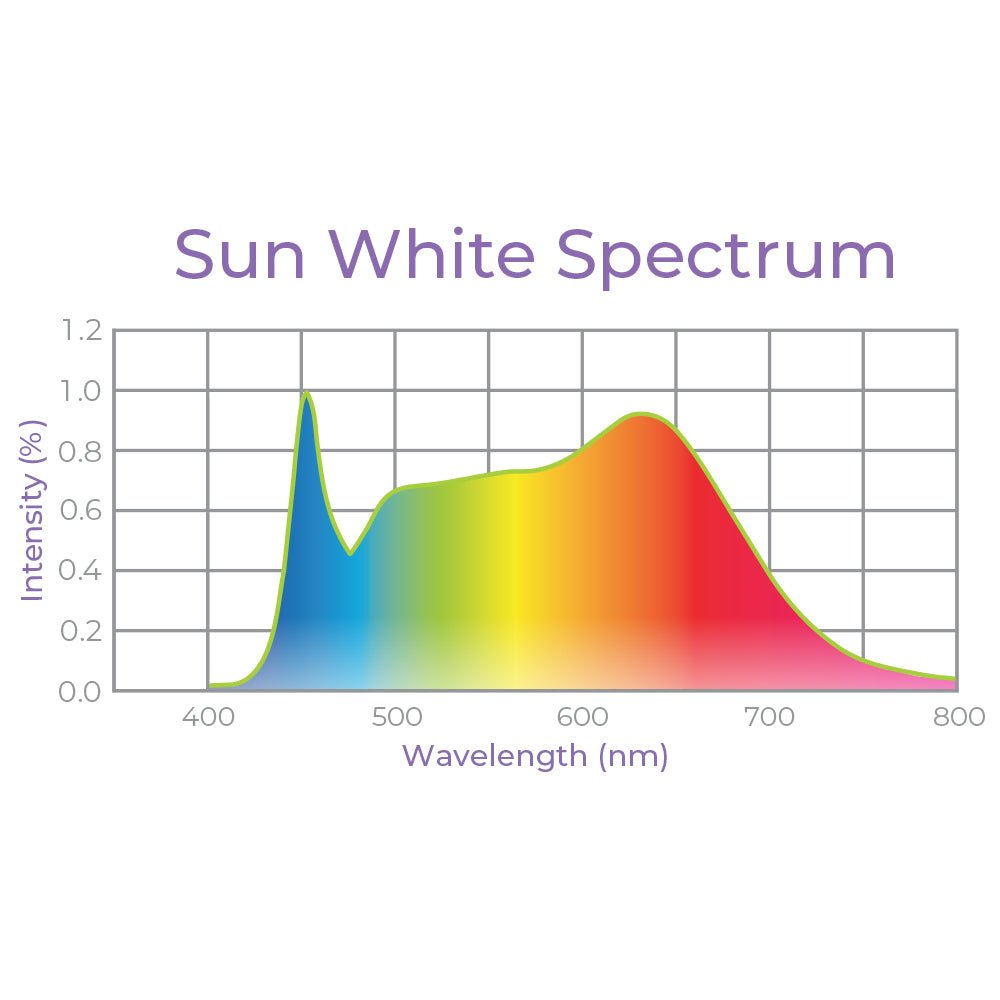 4' LED Grow Light – Integrated T8 Sun White Spectrum - Ed's Plant Shop