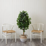4.5 - ft Artificial Ficus Tree with Double Trunk in a Handmade Cotton & Jute Basket DIY KIT - Ed's Plant Shop