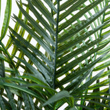 4.5 - ft UV‑Resistant Areca Palm Tree – Indoor/Outdoor Faux Plant - Ed's Plant Shop