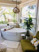 48 - in Dracaena Silk Plant (Real Touch) - Ed's Plant Shop