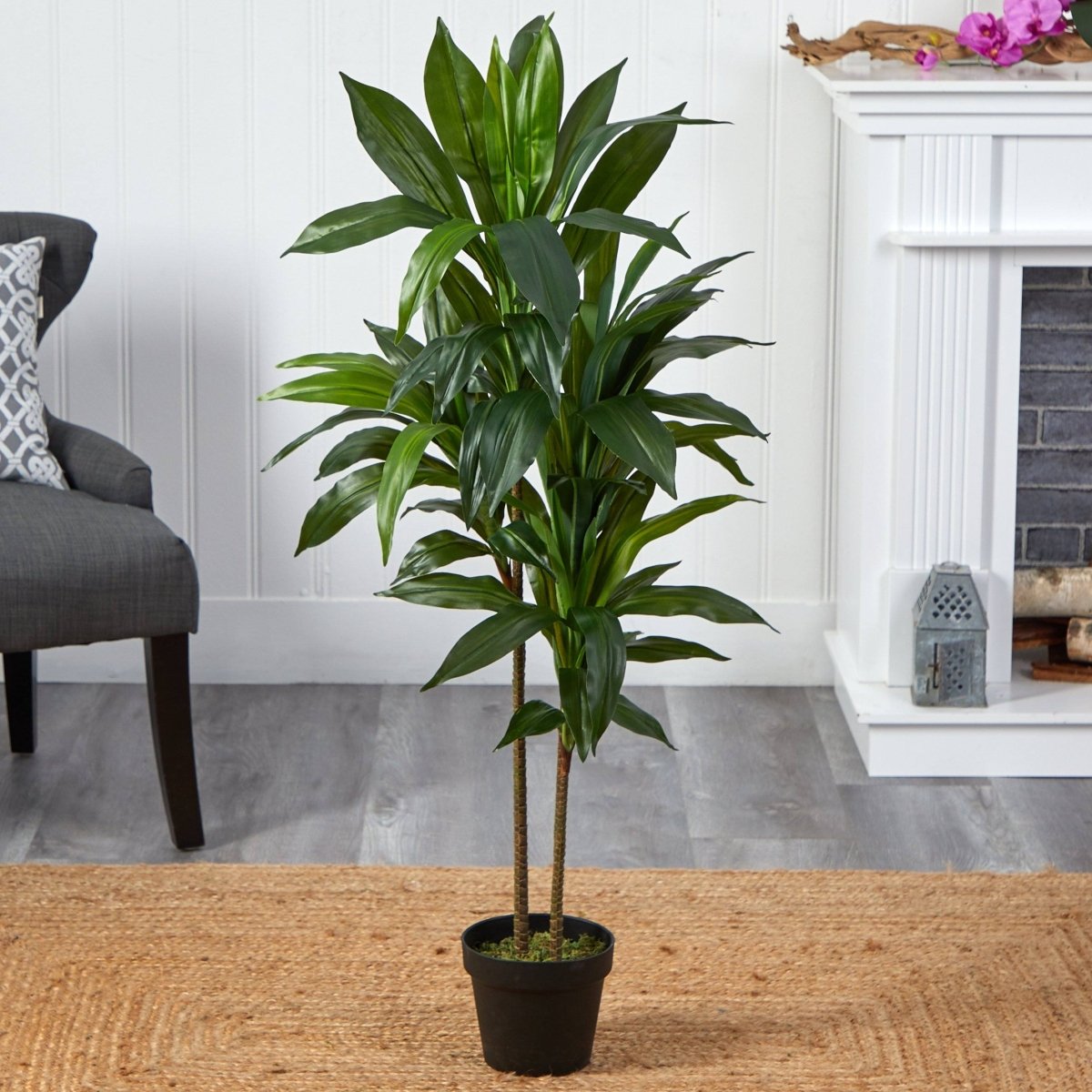 48 - in Dracaena Silk Plant (Real Touch) - Ed's Plant Shop