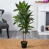 48 - in Dracaena Silk Plant (Real Touch) - Ed's Plant Shop