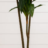 48 - in Dracaena Silk Plant (Real Touch) - Ed's Plant Shop