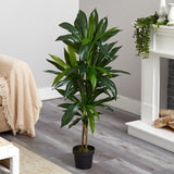 48 - in Dracaena Silk Plant (Real Touch) - Ed's Plant Shop