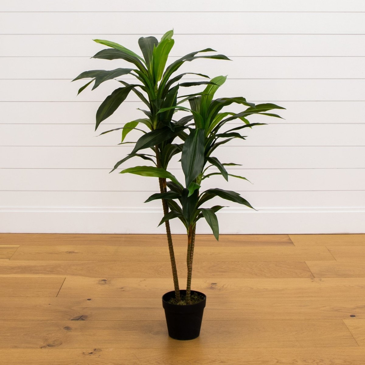 Nearly Natural 48in Dracaena Silk Plant (Real Touch)