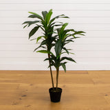 silk dracaena plant Nearly Natural 48in Dracaena Silk Plant (Real Touch)