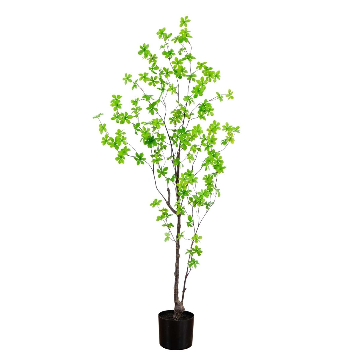 5’ Artificial Minimalist Enkianthus Tree - Ed's Plant Shop