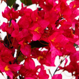 5’ Bougainvillea Artificial Tree | Vibrant & Lifelike Floral Décor - Ed's Plant Shop