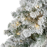 5' Flocked Rock Springs Spruce Christmas Tree | 150 LED Lights - Ed's Plant Shop