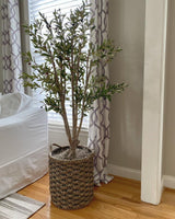 Potted plant in a woven basket on a wooden floor with curtains in the background