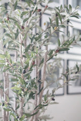 Artificial olive tree with green leaves and small brown fruits in a blurred indoor setting