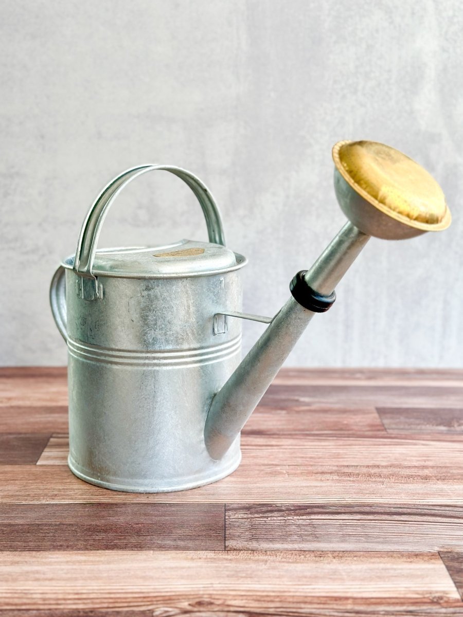 5L PLINT Galvanized Watering Can with Sprinkler Head | $88 – Ed's