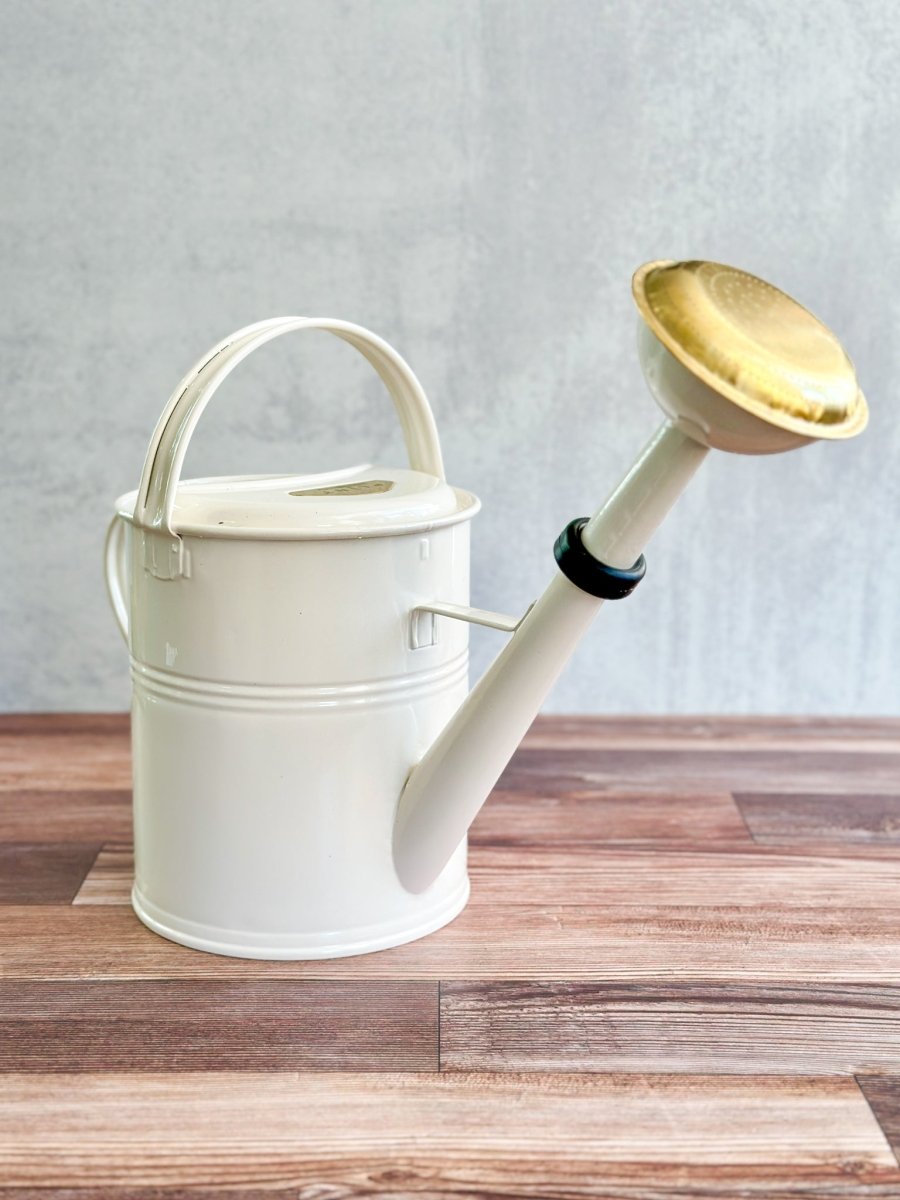 5 Liter - PLINT Watering Can - with Removable Sprinkler Head - Ed's Plant Shop