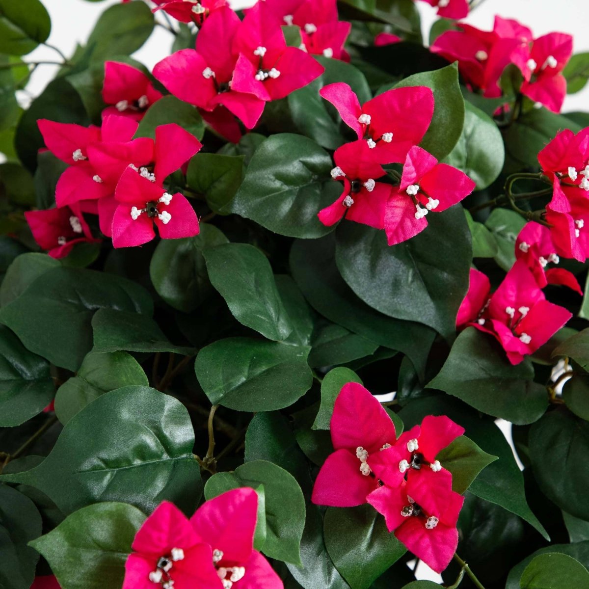 5’ Mini Bougainvillea Topiary | Elegant Faux Floral Décor - Ed's Plant Shop