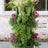 5 Tier GreenStalk Garden Original Vertical Planter - Basket Weave Texture - Ed's Plant Shop