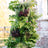 5-Tier GreenStalk Original Vertical Planter in Evergreen – Basic Texture vertical gardening tower with 30 pockets.