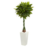 5.5' Artificial Money Tree in White Tower Planter - Ed's Plant Shop