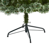 6’ Wisconsin Slim Snow Tip Pine Tree – Compact Elegance for Holiday Cheer - Ed's Plant Shop