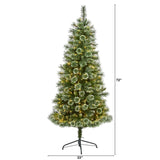 6’ Wisconsin Slim Snow Tip Pine Tree – Compact Elegance for Holiday Cheer - Ed's Plant Shop