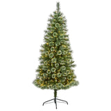 6’ Wisconsin Slim Snow Tip Pine Tree – Compact Elegance for Holiday Cheer - Ed's Plant Shop