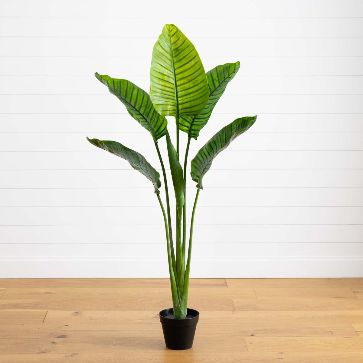 Nearly Natural Travelers Palm Indoor/Outdoor UV Resistant Tree, 64