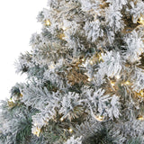 7' Flocked Rock Springs Spruce Tree | 350 LED Lights & Snow - Ed's Plant Shop