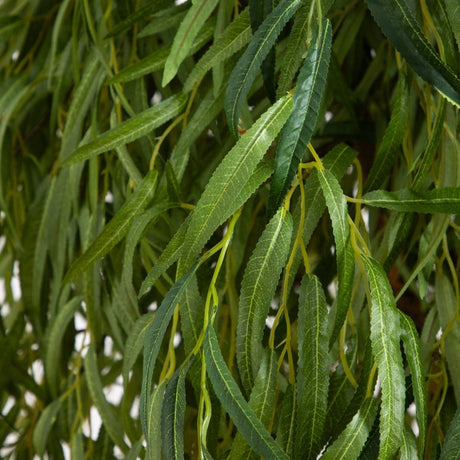 Close-up of green willow leaves on a blurred background
