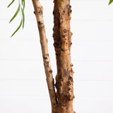 Close-up of two tree branches with one showing signs of disease on a white background