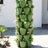 7 Tier GreenStalk Garden Leaf Vertical Planter - Basic Texture - Ed's Plant Shop