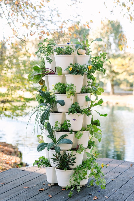 7 Tier GreenStalk Garden Leaf Vertical Planter - Basic Texture - Ed's Plant Shop