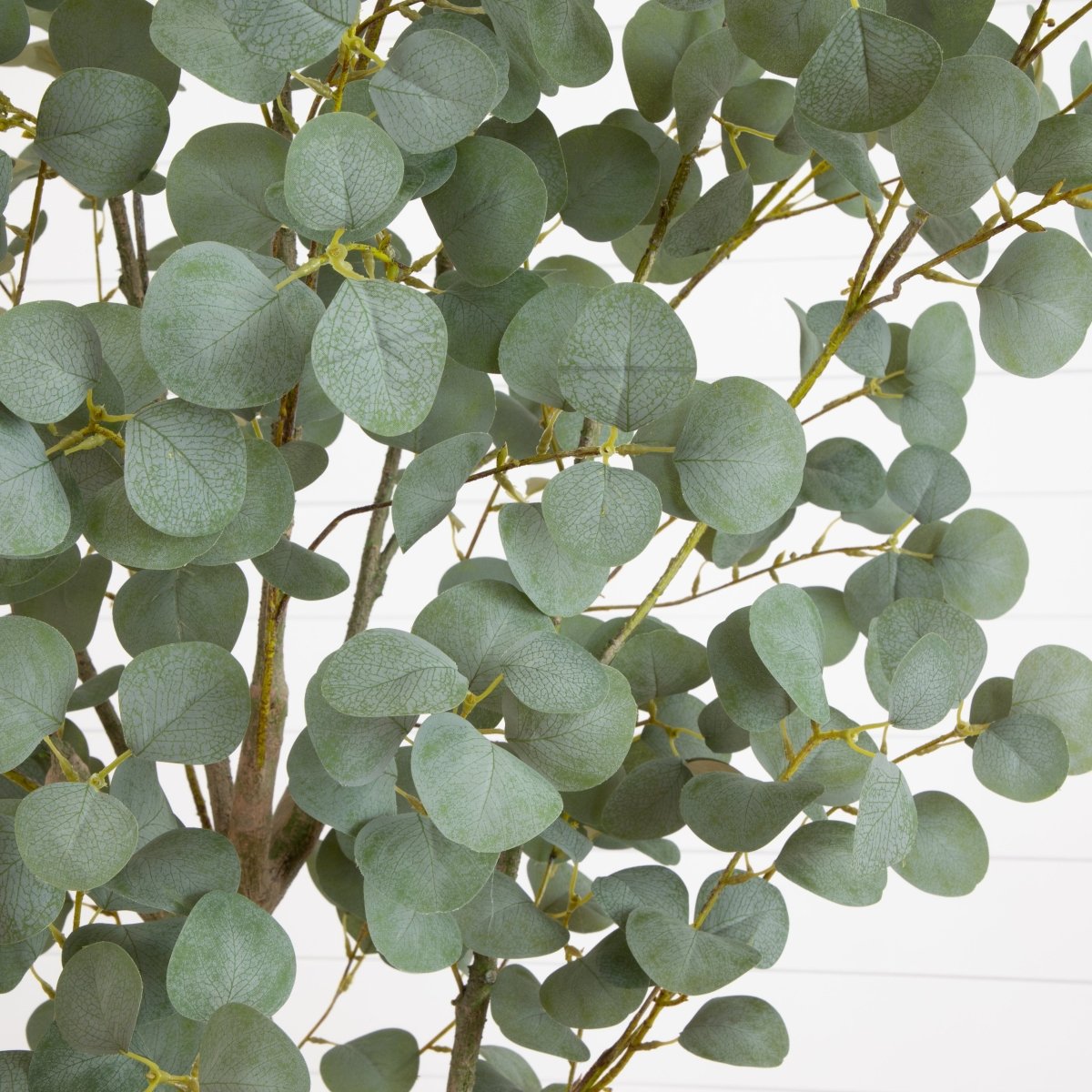 7.5' Faux Eucalyptus Tree | Realistic Indoor Greenery – Ed's Plant Shop - Ed's Plant Shop