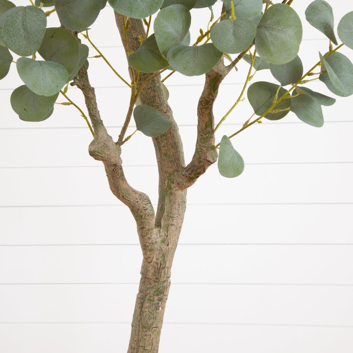 7.5' Faux Eucalyptus Tree | Realistic Indoor Greenery – Ed's Plant Shop - Ed's Plant Shop