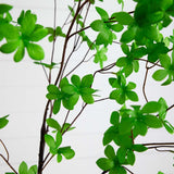 8’ Artificial Minimalist Enkianthus Tree - Ed's Plant Shop