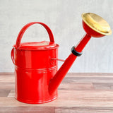 9 Liter - PLINT Watering Can with Removable Sprinkler Head - Ed's Plant Shop