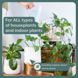 Thrive Bundle (Online Only) (Plant Food + Probiotics) for HOUSEPLANTS