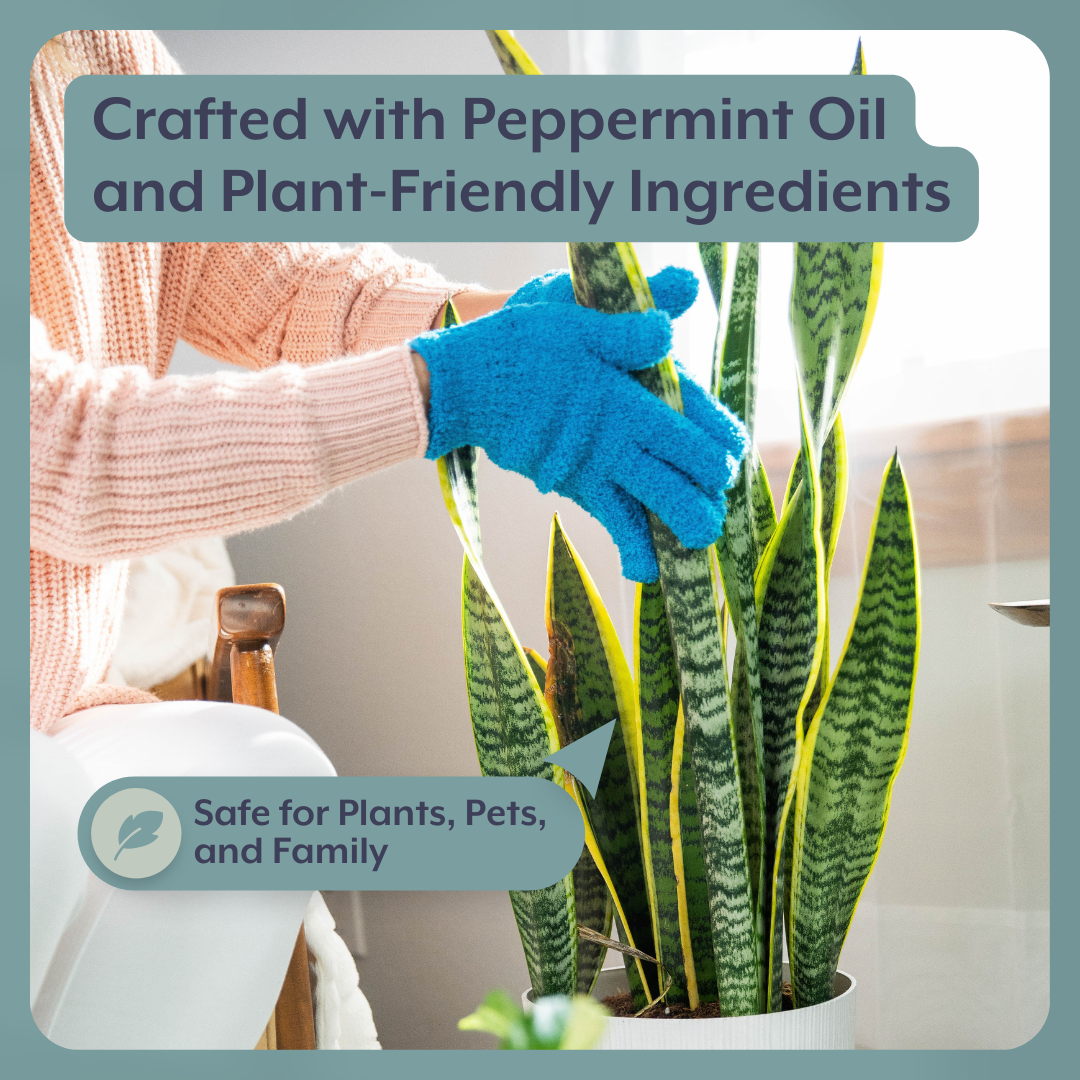 Houseplant DEFENSE Bundle | Natural Pest Control + Gloves + Spray Bottle