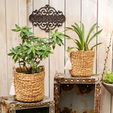 Basket Weave Cement Planter - Various Sizes