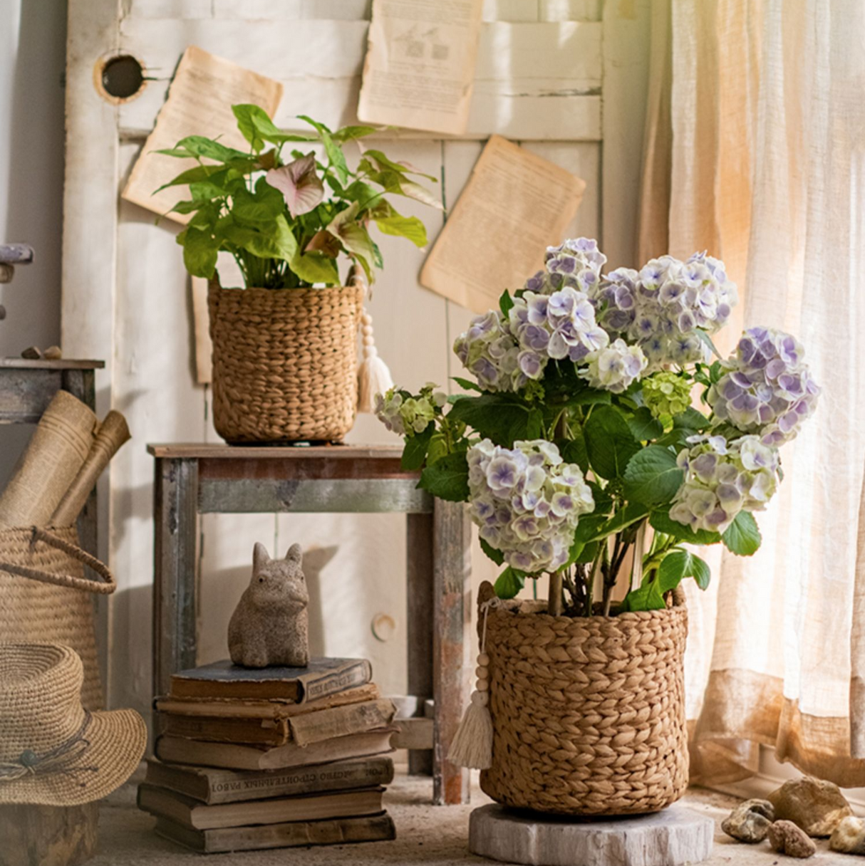 Basket Weave Cement Planter - Various Sizes