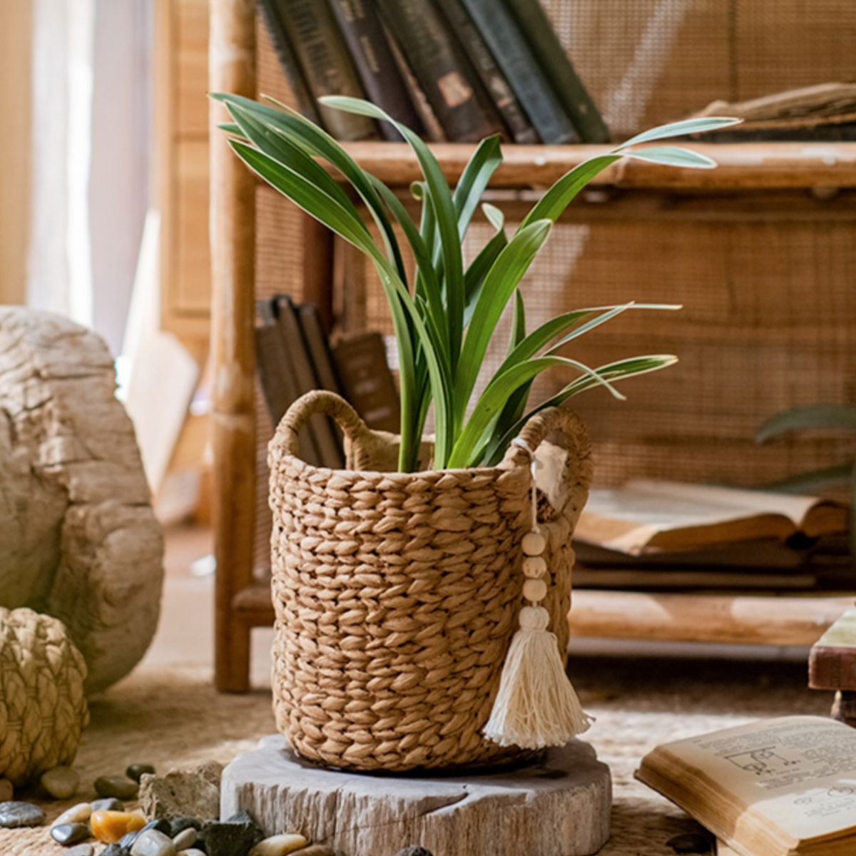 Basket Weave Cement Planter - Various Sizes