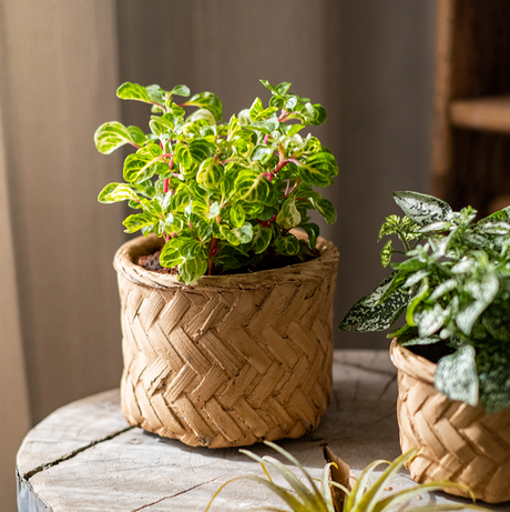 Woven Concrete Planter