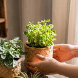 Woven Concrete Planter