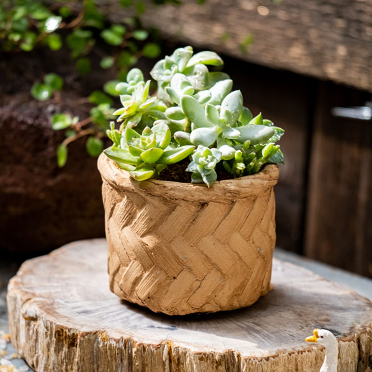 Woven Concrete Planter