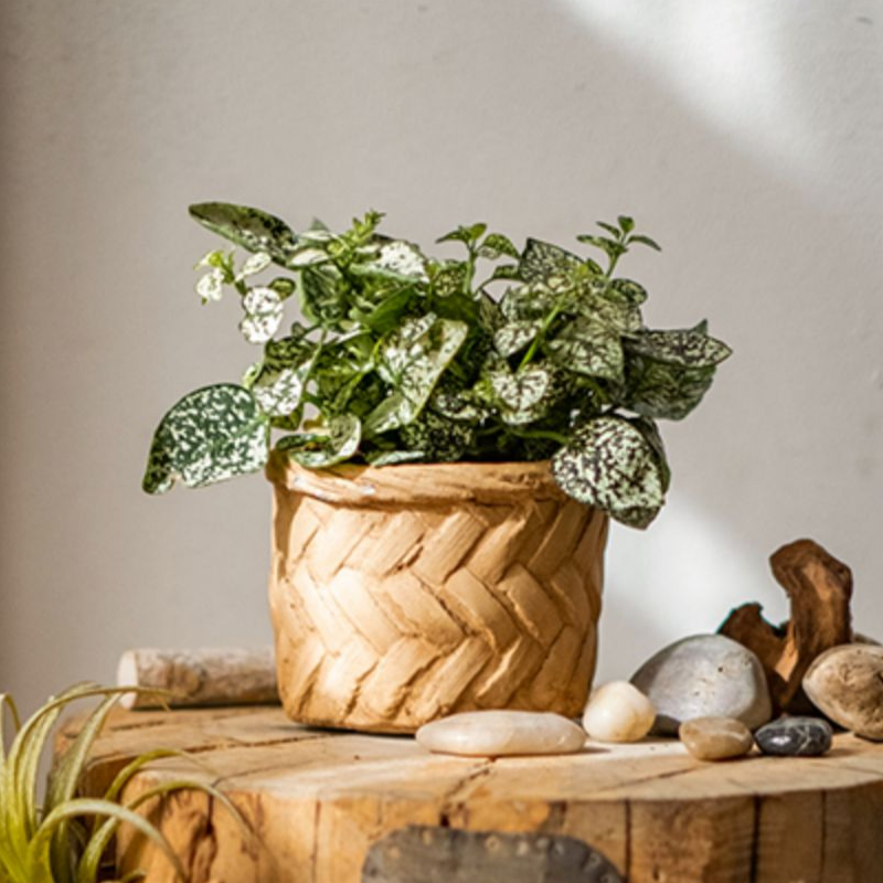 Woven Concrete Planter